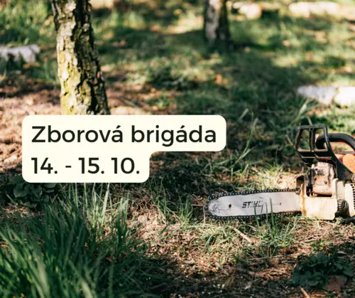 Zborová brigáda