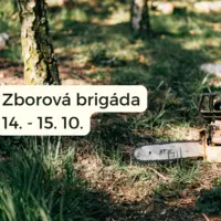 Zborová brigáda